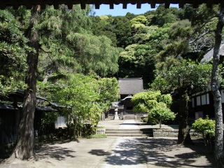 images/2009/04/enkakuji_P4270043s.JPG