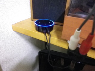 Echo dot̉ғ