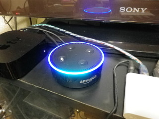 Echo dot