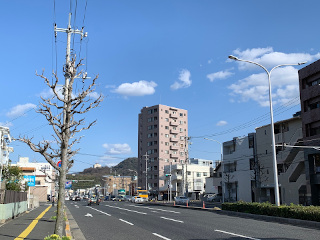 ../デイ・ウォークの散歩道から