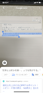 Google LensiPhoneXN[Vbg