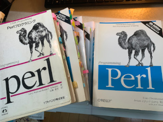 Programming Perl